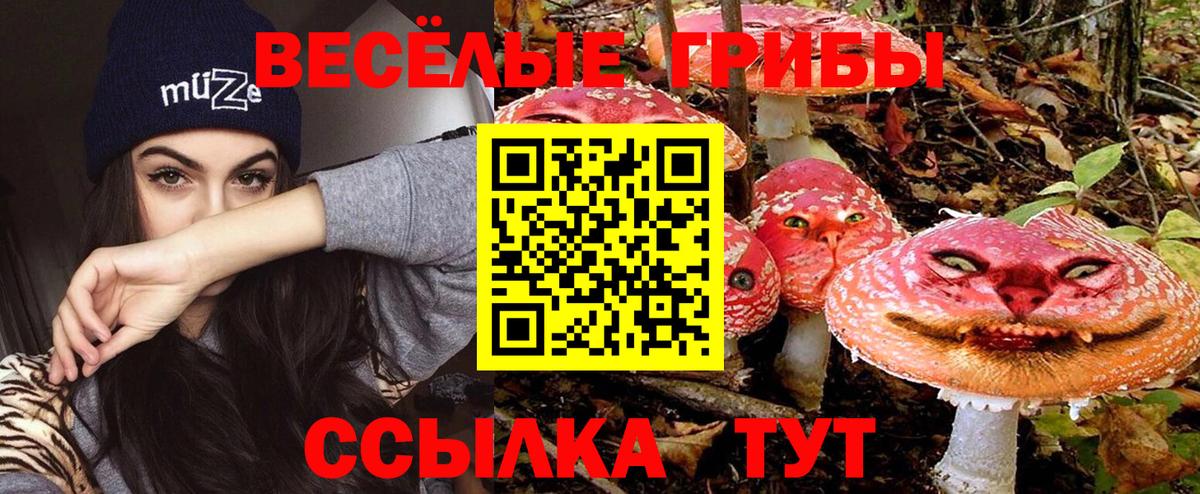 Галлюциногенные грибы ЛСД  Вход с VPN  Бугуруслан 